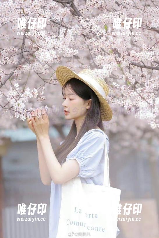 91今日吃瓜：吃瓜界的导航，带你永不迷路