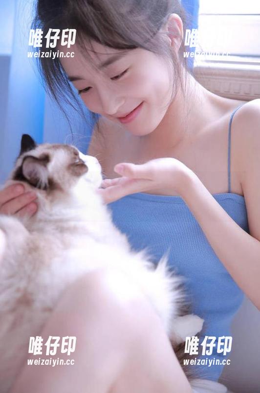 “全网吃瓜”导航，让你同时吃瓜和瘫坐！