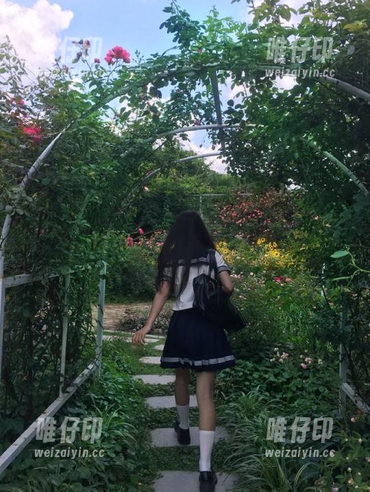 黑料吃瓜网页 似乎只有黑料吃瓜网页能让我永不迷路,但最后都是八卦喊我快回家!
