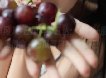 今日黑料网直达：围成一圈，全员待命，吃瓜请自备爆米花！