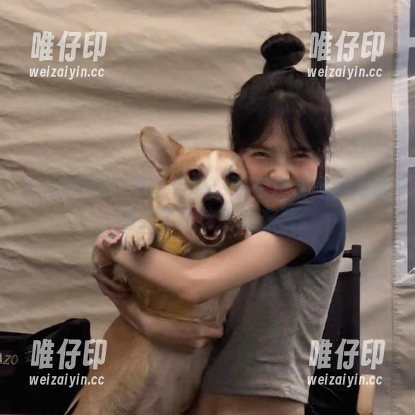 紧急召唤！我在观看黑料网址，看到了不该看的东西。